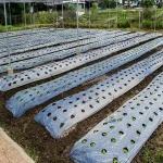greenhouse plastic clear with complete explanations and familiarization