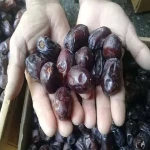 mazafati dates india acquaintance from zero to one hundred bulk purchase prices