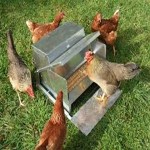 Learning to buy an chicken feeders uk from zero to one hundred