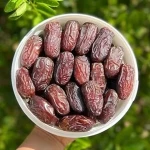 mazafati dates iran supplier acquaintance from zero to one hundred bulk purchase prices