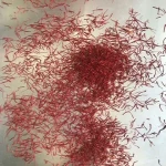 Price and purchase saffron top rated with complete specifications