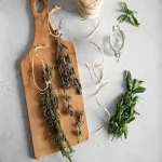 dried herbs to fresh with complete explanations and familiarization