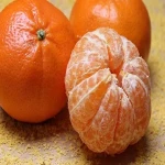 best tasting tangerine acquaintance from zero to one hundred bulk purchase prices
