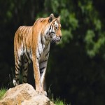 Test2