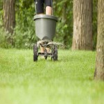 Earth Way Broadcast Spreader | Buy At A Cheap Price