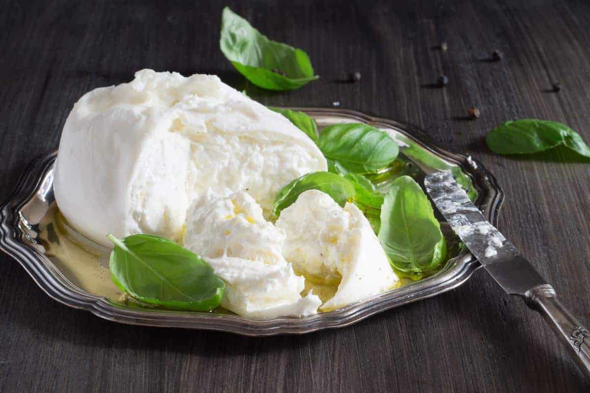Buy all kinds of Mozzarella Cheese at the best price
