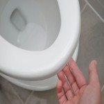 Pan Toilet Seat Price