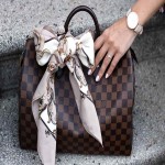 Ostrich Leather Handbags Prices