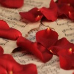 Red Rose Petals Price