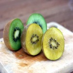 Gold Kiwi fruit Price per Tray