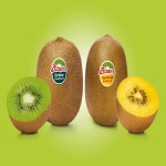 Zespri Green c Price