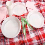 Disposable Plastic Plates Price in Pakistan