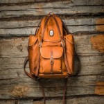 Danier Leather Bag Price