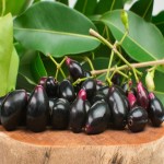Java Plum Price in Pakistan