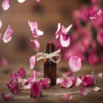 Bulgarian Rose Oil Price