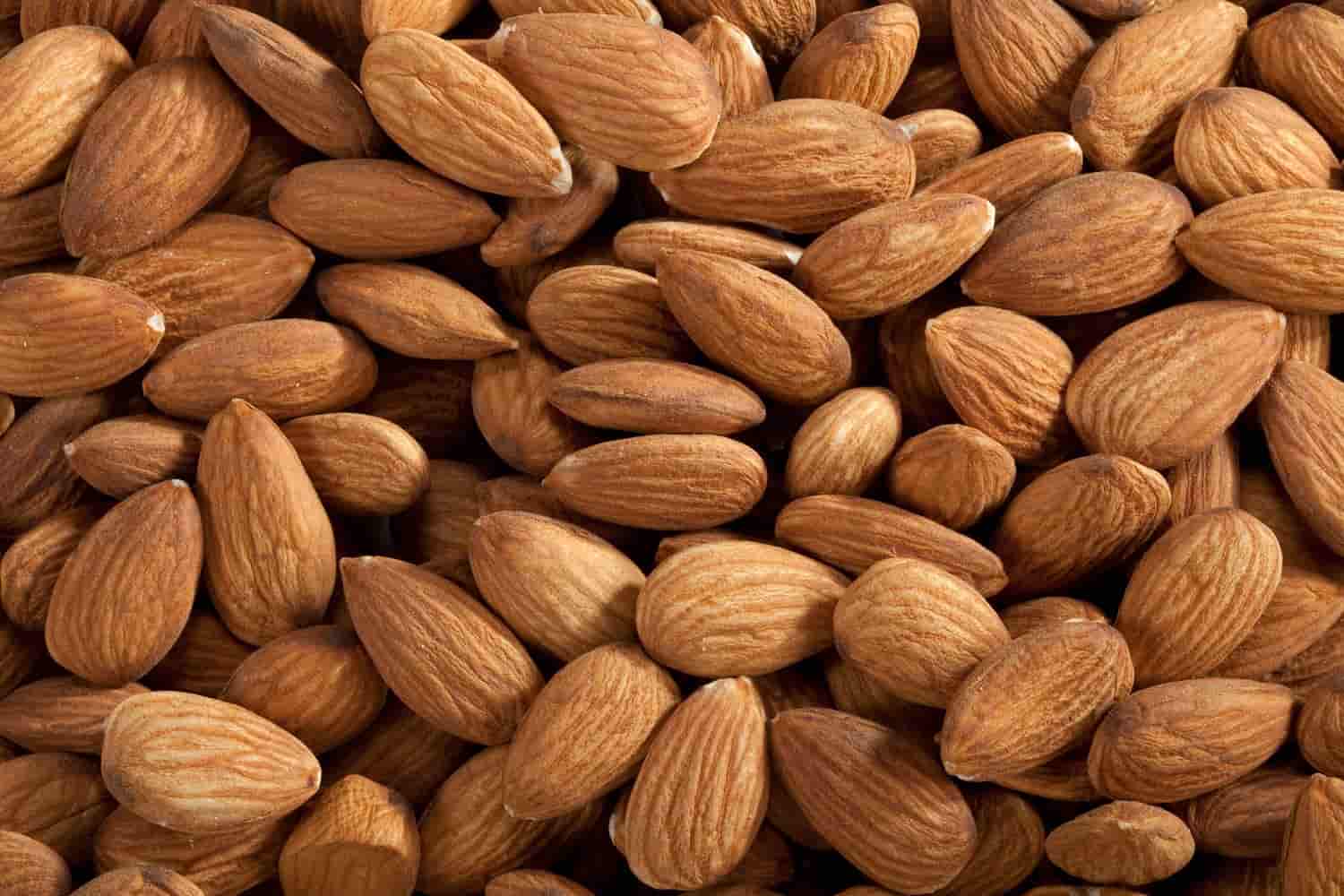 American Almond Price in India