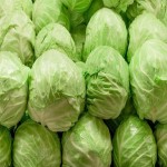 Green Cabbage Price per Pound