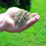 Diammonium Phosphate Fertilizer Price