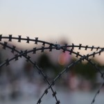 Tata Barbed Wire Price in Chennai