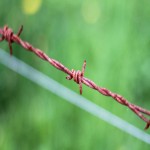 Tata Barbed Wire Price in Jaipur