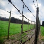 Tata Barbed Wire Price