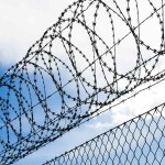 Tata Barbed Wire Price in Hyderabad