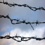 Tata Barbed Wire Price per kg