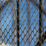 Chicken Mesh Price in India