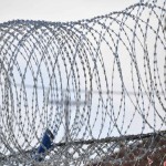 Concertina Barbed Wire Price