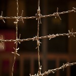Waratah Barbed Wire Price
