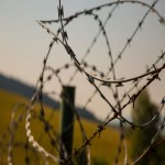 Tata Barbed Wire Price in Karnataka