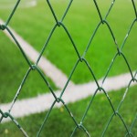 Green Mesh Price in Sri Lanka