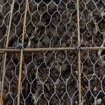 Chicken Mesh Price in Kerala
