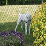 Hexagonal Wire Mesh Price in Sri Lanka