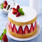 Vizcos Cake Price 2023