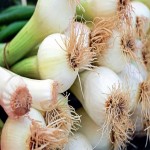 Green Onion Price Per Kilo