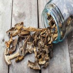 Dried Morel Mushrooms Price Per Pound