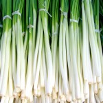 Green Onion Price in India