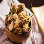 Morel Mushroom Price in Pakistan