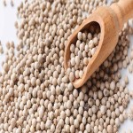 White Pepper Price in Pakistan