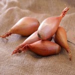 Small Onion Price Today in Salem