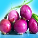Export Quality Onion Price