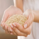 Ration Rice in India; Whole Grain White Contains Low Fat Helps Brain