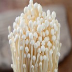 Enoki Mushroom in Chennai (Flammulina Velutipes) Available 3 Types Industrial Edible Poisonous
