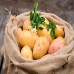 India Potato Price Today
