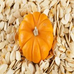 Pumpkin Seeds Price in Bangalore