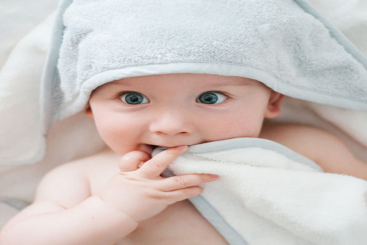 Baby Towel Price in Bd