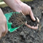 Organic Fertilizer Price in Sri Lanka