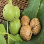 Green Walnut Price in Pakistan