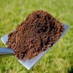 Compost Fertilizer Price in Pakistan
